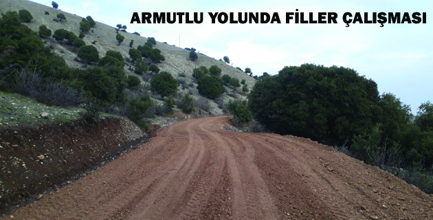 ARMUTLU YOLUNDA FİLLER ÇALIŞMASI